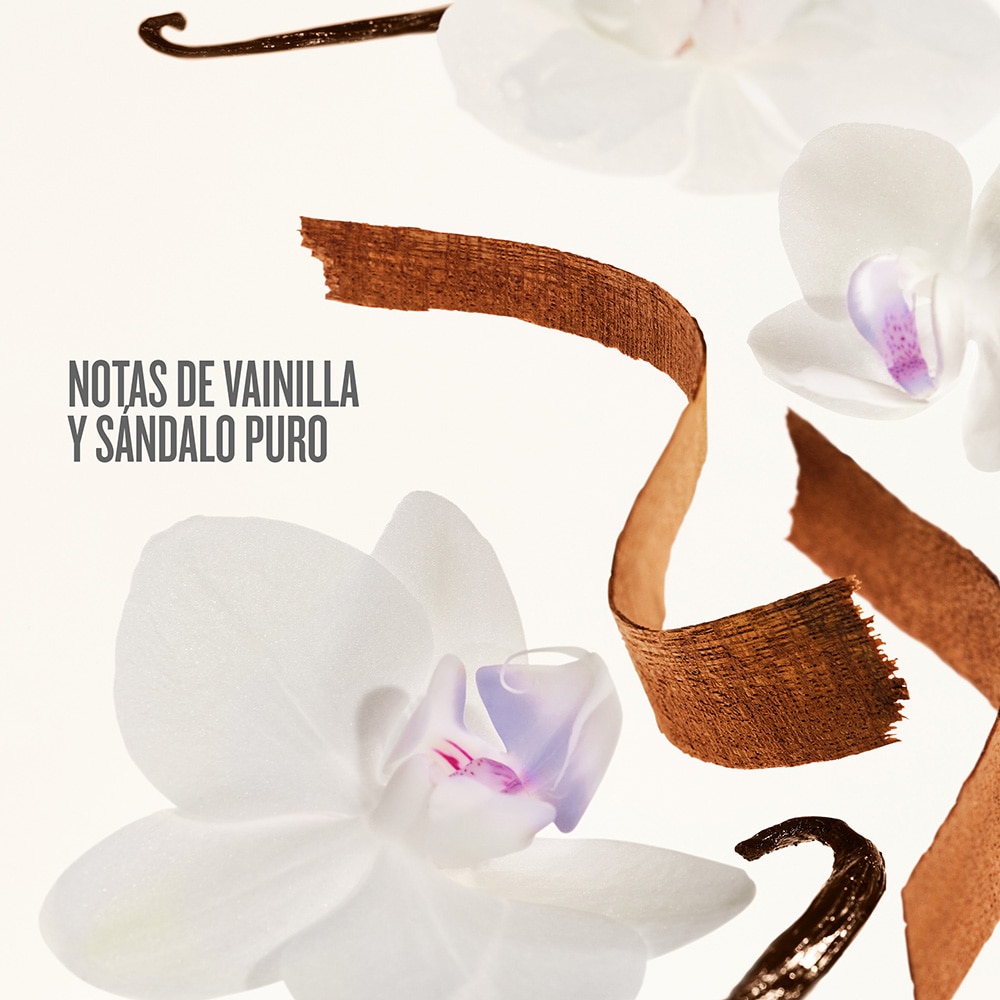 DRENCH & DAZZLE DELÍCIA DRENCH BODY ROUTINE GIFT SET (SET DE RUTINA CORPORAL)